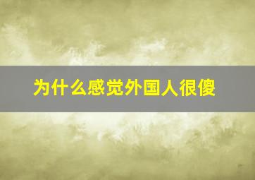 为什么感觉外国人很傻