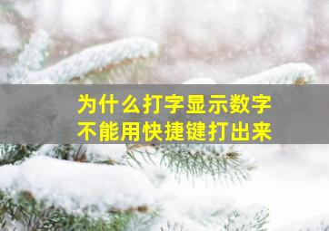 为什么打字显示数字不能用快捷键打出来