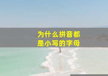 为什么拼音都是小写的字母