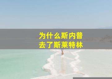 为什么斯内普去了斯莱特林