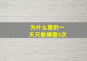 为什么猎豹一天只能捕猎5次