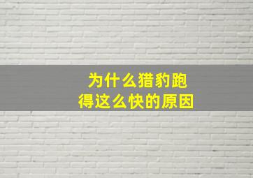 为什么猎豹跑得这么快的原因