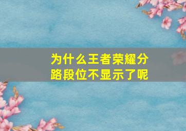 为什么王者荣耀分路段位不显示了呢