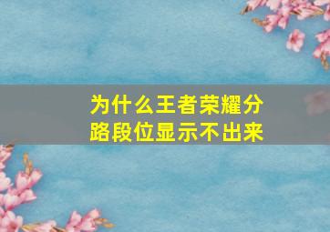 为什么王者荣耀分路段位显示不出来