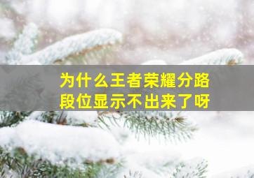 为什么王者荣耀分路段位显示不出来了呀