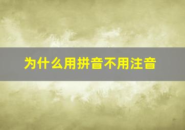 为什么用拼音不用注音