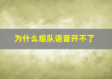 为什么组队语音开不了