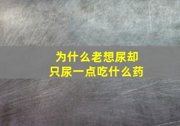 为什么老想尿却只尿一点吃什么药