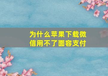 为什么苹果下载微信用不了面容支付