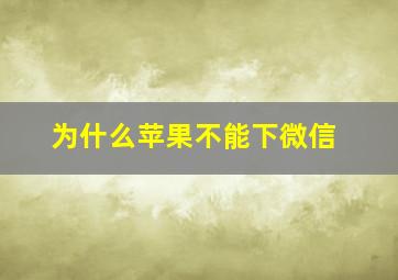 为什么苹果不能下微信