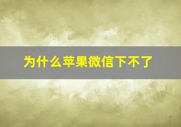 为什么苹果微信下不了