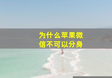 为什么苹果微信不可以分身