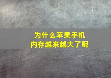 为什么苹果手机内存越来越大了呢