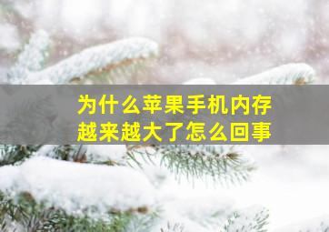 为什么苹果手机内存越来越大了怎么回事