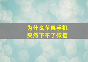 为什么苹果手机突然下不了微信