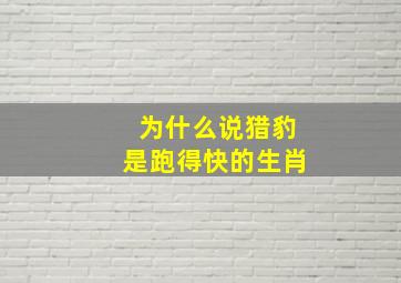 为什么说猎豹是跑得快的生肖