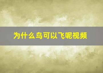 为什么鸟可以飞呢视频