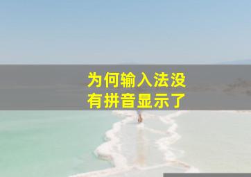 为何输入法没有拼音显示了