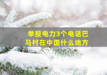 举报电力3个电话巴马村在中国什么地方