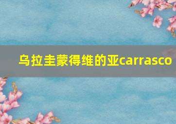 乌拉圭蒙得维的亚carrasco