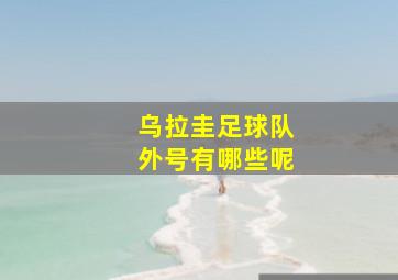 乌拉圭足球队外号有哪些呢