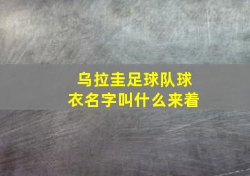 乌拉圭足球队球衣名字叫什么来着