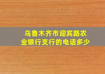 乌鲁木齐市迎宾路农业银行支行的电话多少