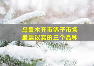 乌鲁木齐市鸽子市场最建议买的三个品种