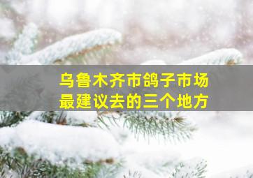 乌鲁木齐市鸽子市场最建议去的三个地方