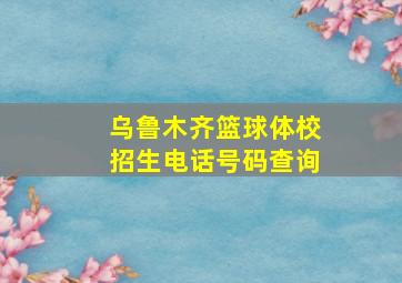 乌鲁木齐篮球体校招生电话号码查询