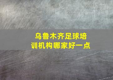 乌鲁木齐足球培训机构哪家好一点