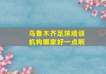 乌鲁木齐足球培训机构哪家好一点啊