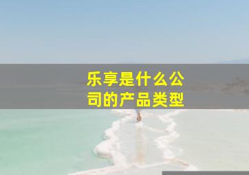 乐享是什么公司的产品类型