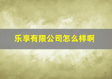 乐享有限公司怎么样啊