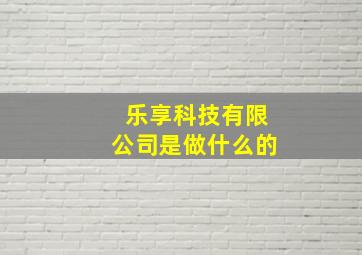 乐享科技有限公司是做什么的