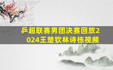 乒超联赛男团决赛回放2024王楚钦林诗栋视频