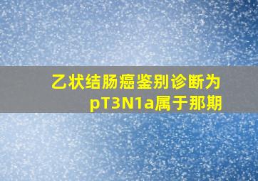 乙状结肠癌鉴别诊断为pT3N1a属于那期