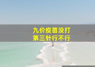 九价疫苗没打第三针行不行