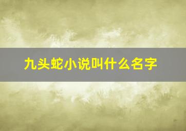 九头蛇小说叫什么名字