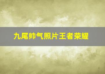 九尾帅气照片王者荣耀