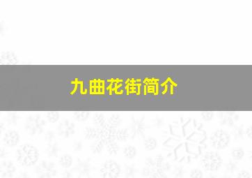 九曲花街简介