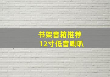 书架音箱推荐12寸低音喇叭