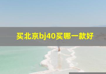 买北京bj40买哪一款好