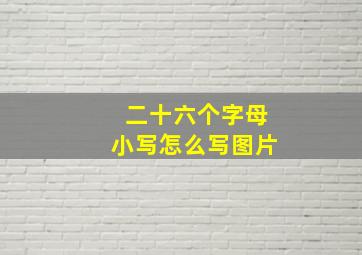 二十六个字母小写怎么写图片