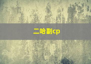 二哈副cp