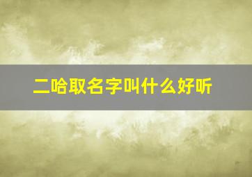 二哈取名字叫什么好听