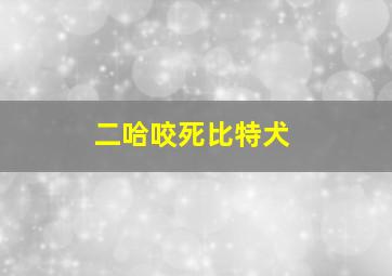 二哈咬死比特犬