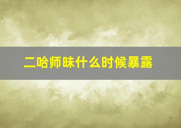 二哈师昧什么时候暴露