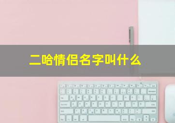 二哈情侣名字叫什么