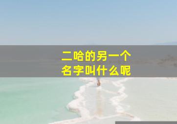 二哈的另一个名字叫什么呢